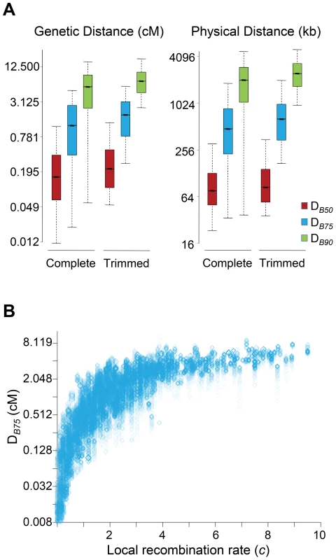 Genomic distance influencing patterns of BGS in <i>D. melanogaster</i>.