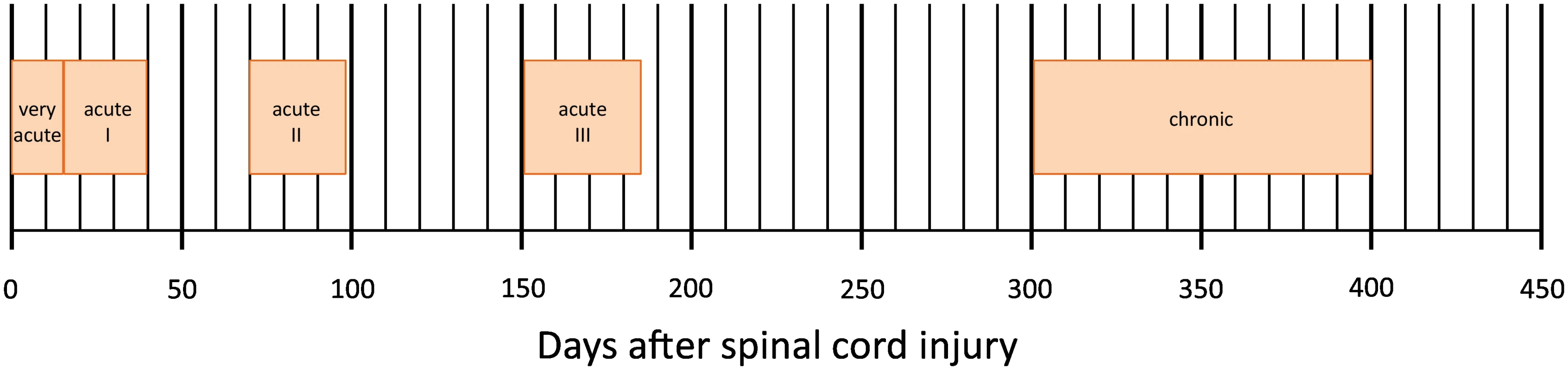 Time schedule of assessments in days after spinal cord injury of the European Multicenter Study about Spinal Cord Injury (EMSCI, <a href="http://www.emsci.org">www.emsci.org</a>).