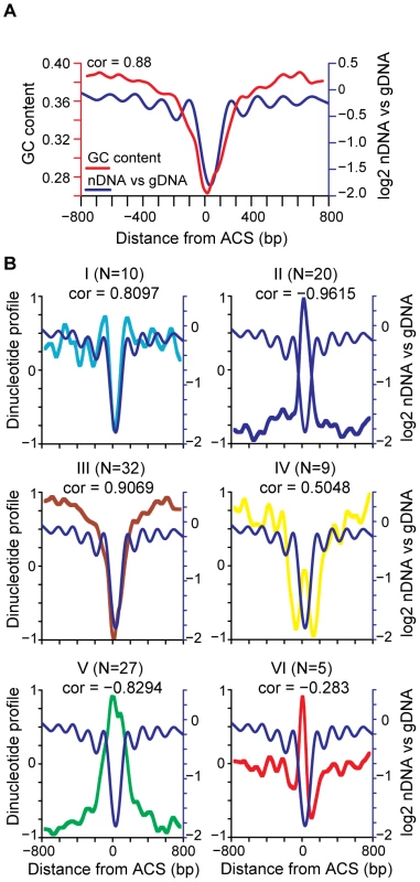 Correlation of nucleosome position with DNA sequence features.