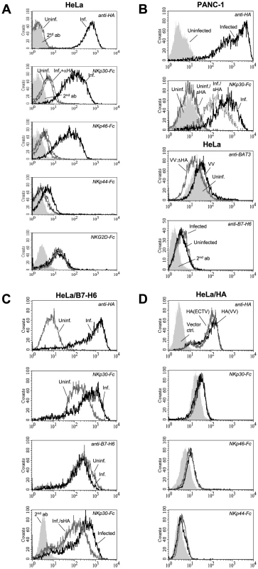 Characterization of HA as ligand for NKp30 and NKp46.