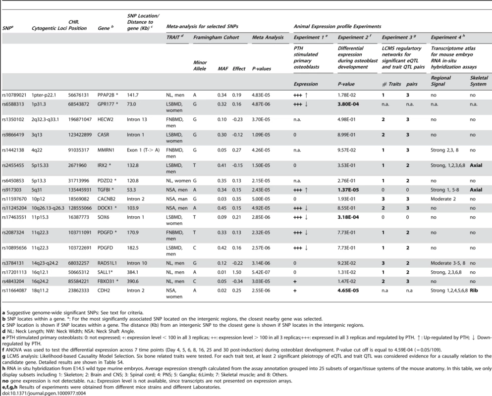 Prioritized suggestive genome-wide loci based on mice experiments of Likelihood-based Causality Model Selection (LCMS) regulatory network analyses, gene expression signature profiles in osteoblasts, and transcriptome atlas of mouse embryos.