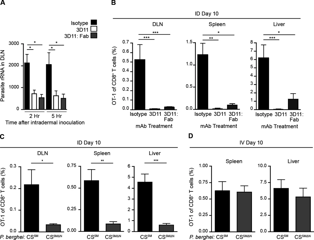 Sporozoite migration to the DLN is required for robust CD8<sup>+</sup> T cell priming.