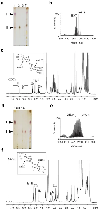 Identification of lipids II and III as Ac<sub>4</sub>SGL and DAT respectively.