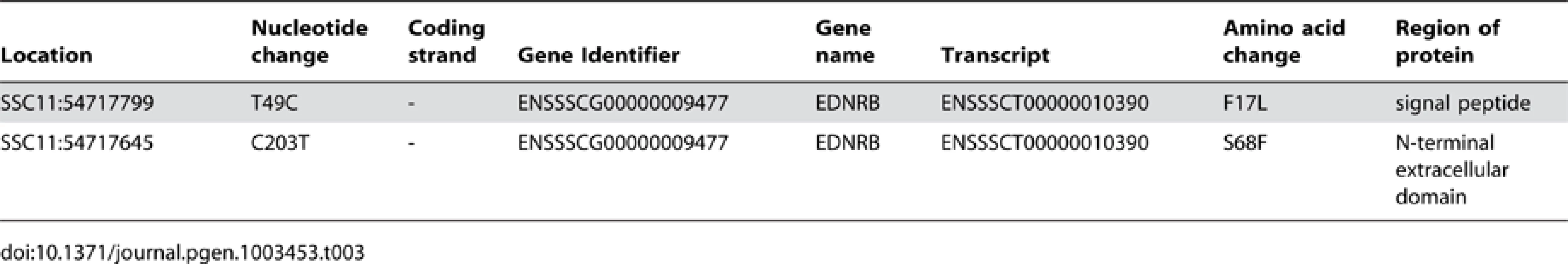Description of non-synonymous exonic variants in the 53.5–55.5 Mb region of SSC11.