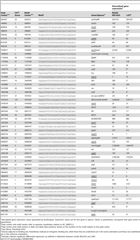FliA promoters and expression of associated genes.