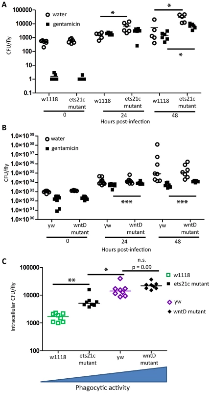 Increased phagocytic activity associated with increased intracellular <i>L. monocytogenes.</i>