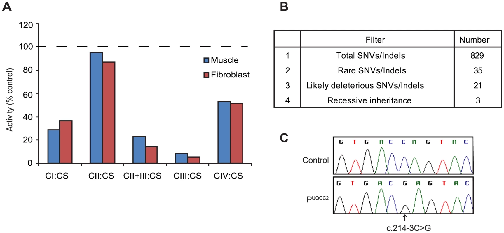 MitoExome sequencing identifies a homozygous mutation in <i>UQCC2</i> in a patient with complex III deficiency.