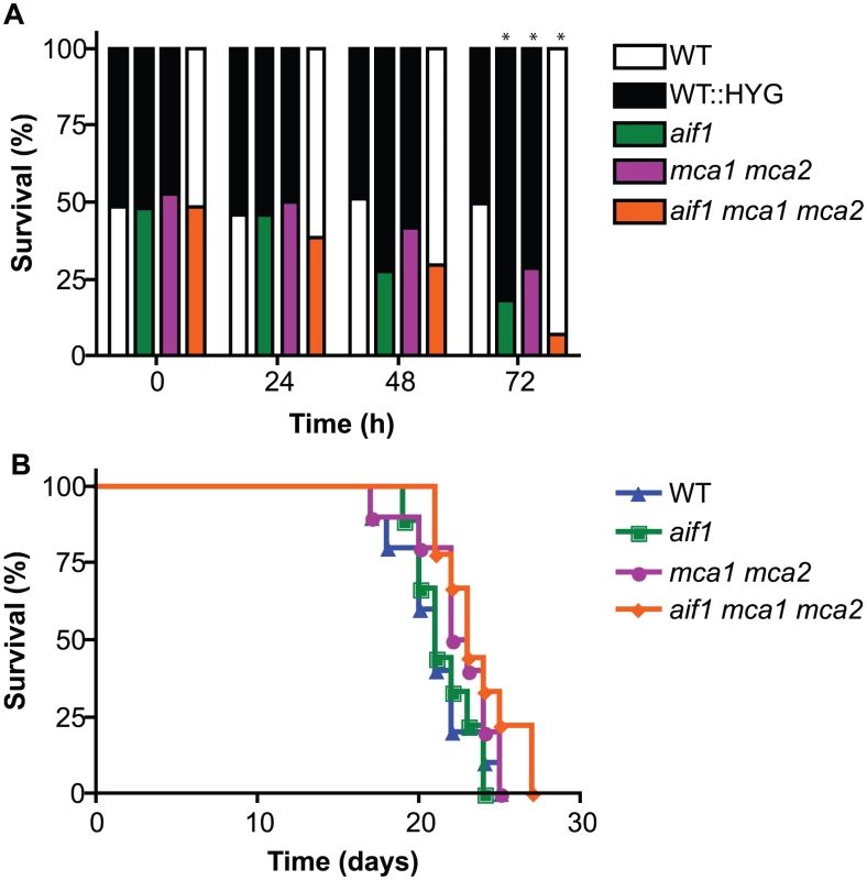 Apoptosis-like cell death is important for competitive fitness. A