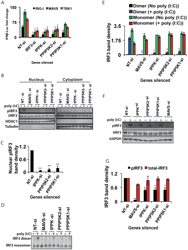 Inositol pyrophosphate synthesis pathway is needed for IRF3 activation.