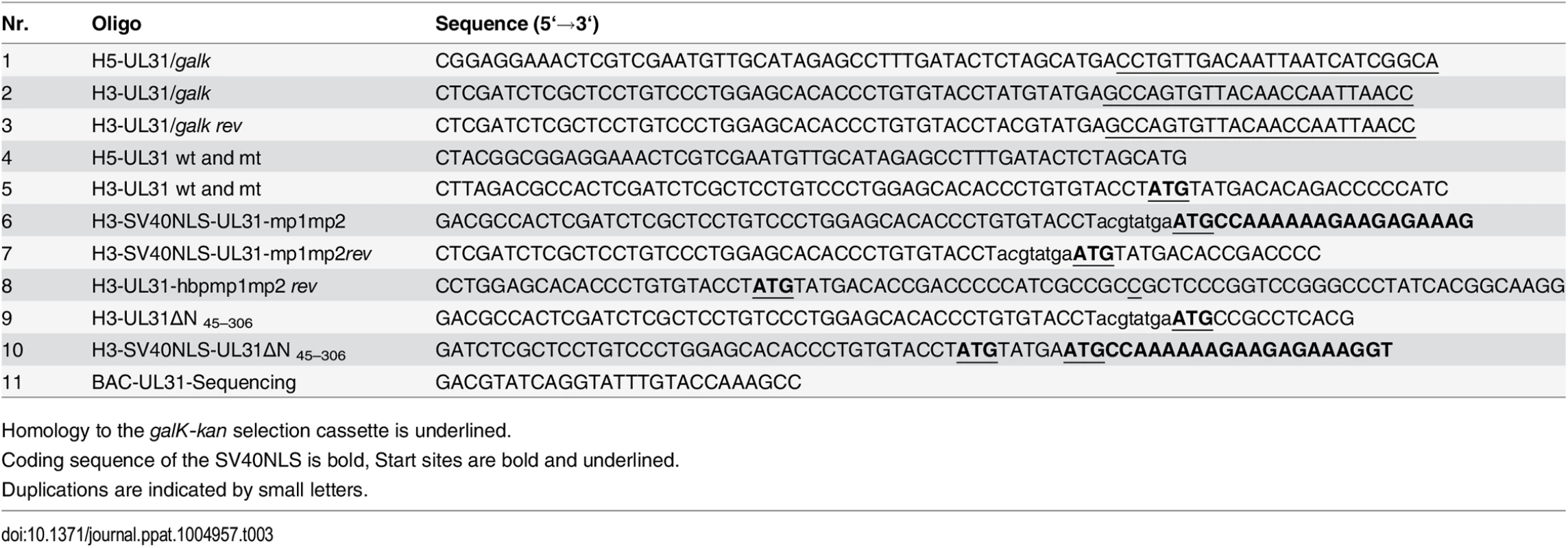 Oligonucleotides used for BAC-mutagenesis.