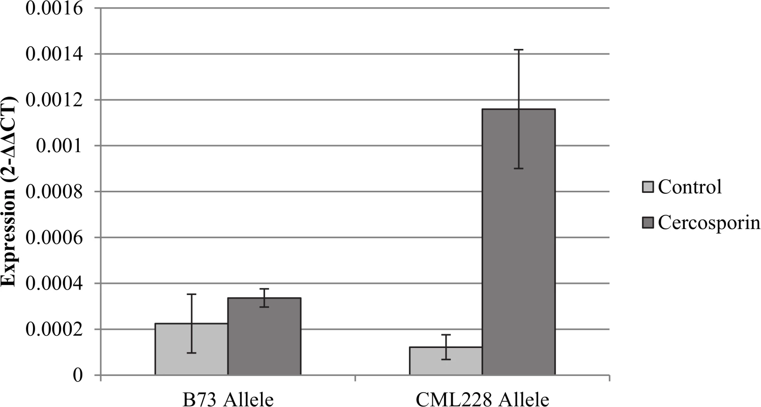 Analysis of flavin-monooxygenase expression at qGLS1.04.