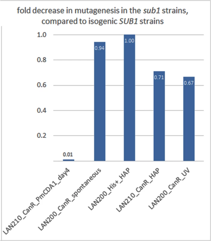 <i>SUB1</i> disruption specifically suppresses APOBEC-induced mutagenesis at the <i>can1</i> gene.