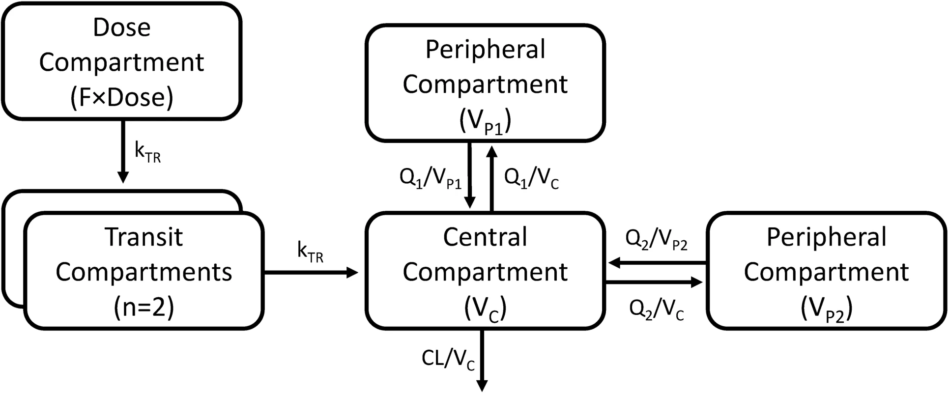 A graphical overview of the final piperaquine population pharmacokinetic model.