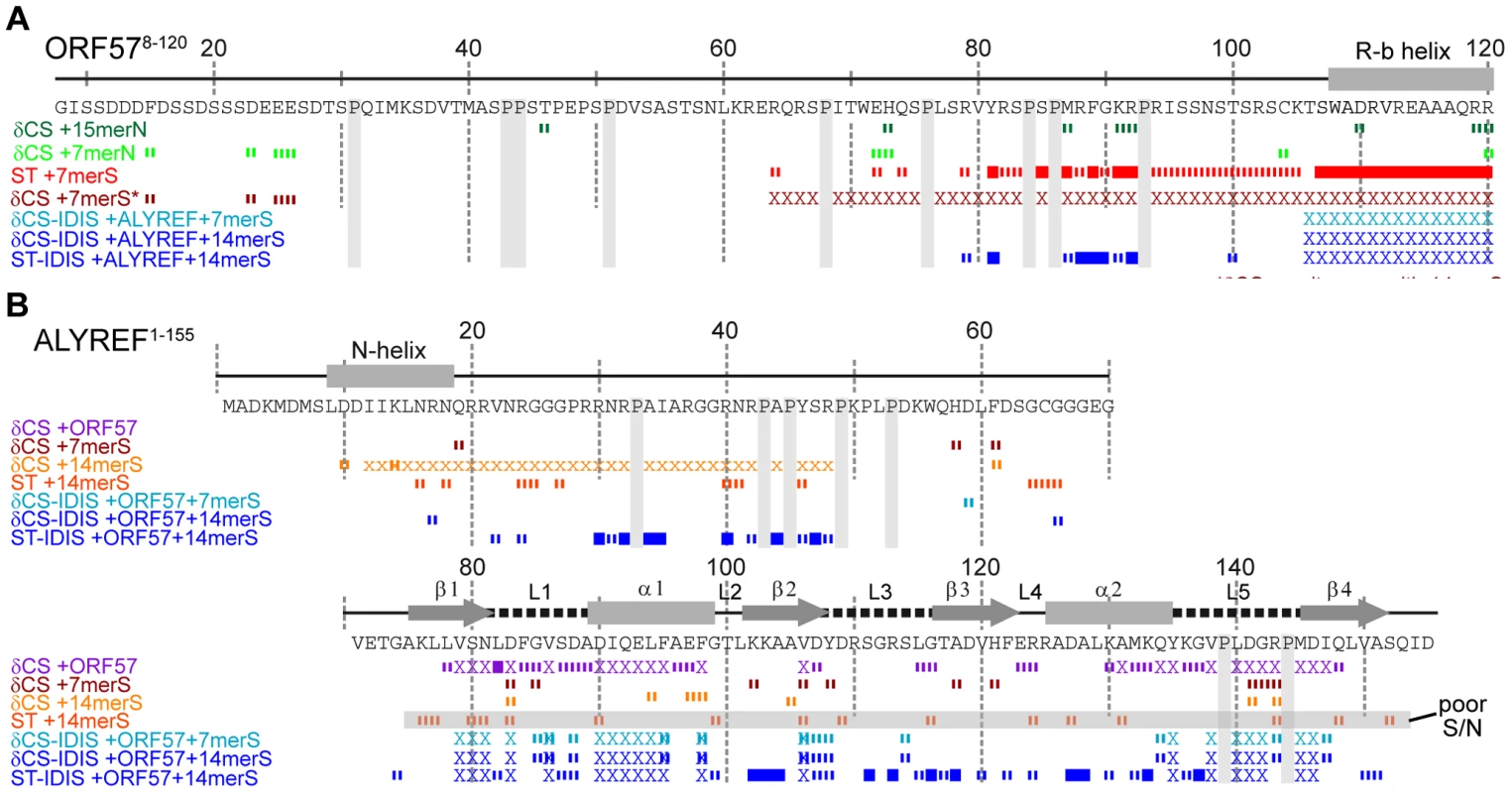 Overview of RNA interaction sites mapped on ORF57<sup>8–120</sup> and ALYREF<sup>1–155</sup> using different approaches.