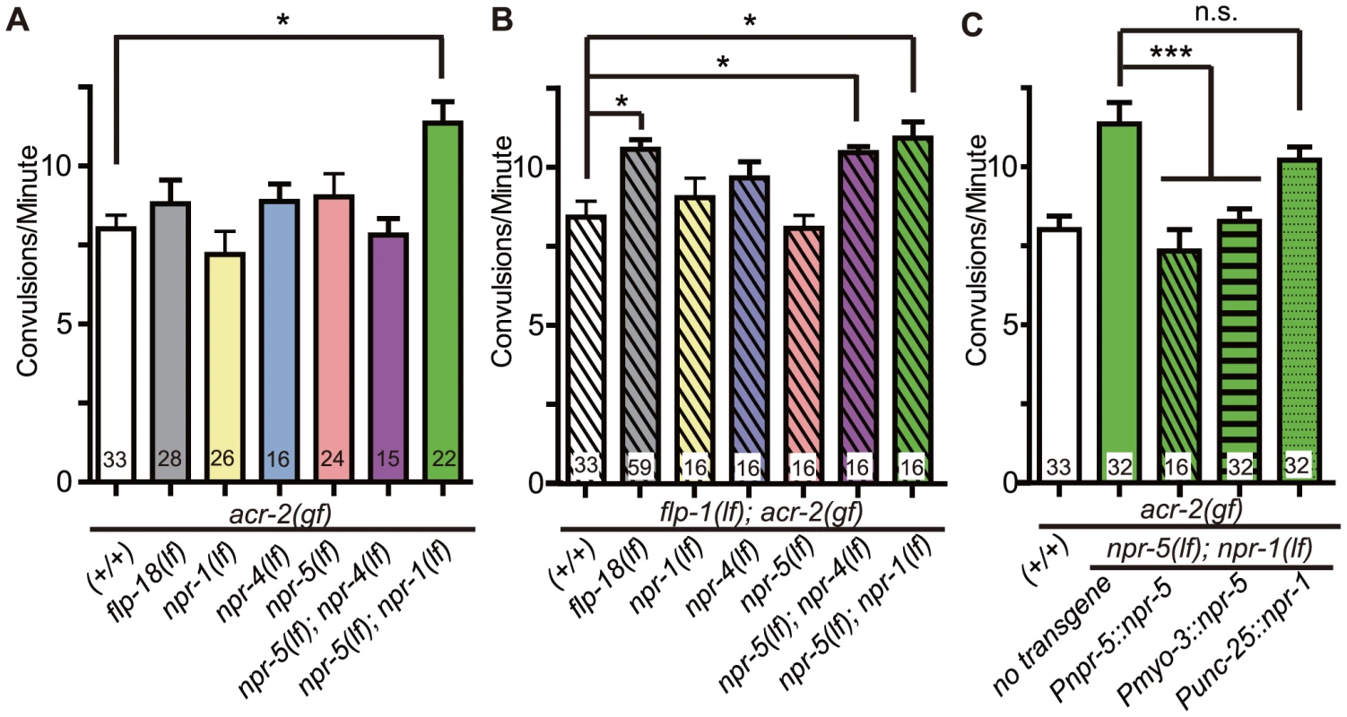 NPR-1, NPR-4, and NPR-5 act together to mediate the effects of neuropeptides on convulsions.