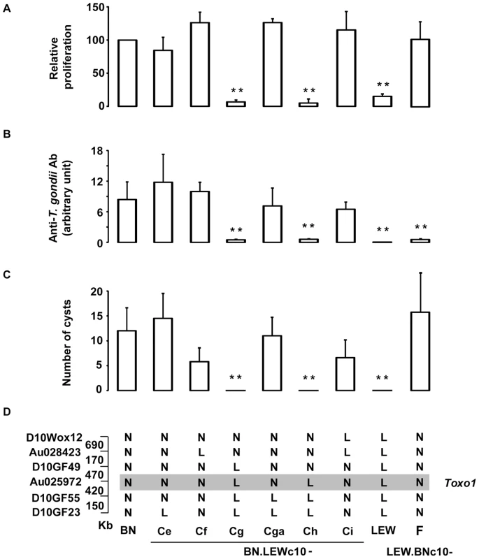 Genetic dissection narrows down <i>Toxo1</i> to 0.89 megabase.
