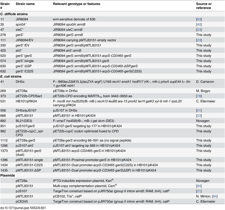 Strains and Plasmids used in this study.