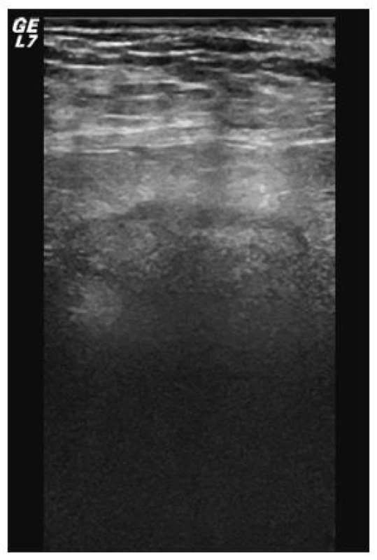 <br>Fig. 1.