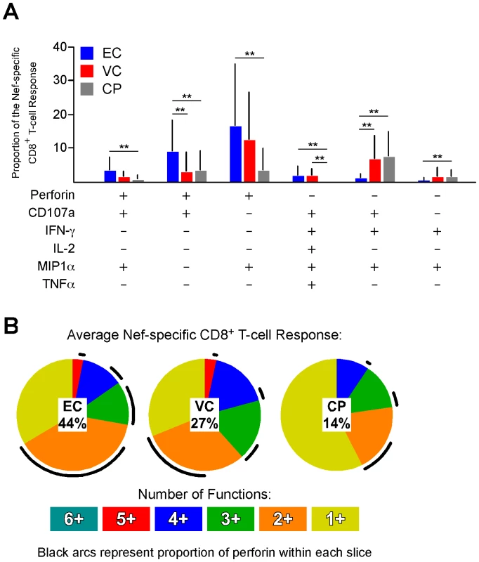 The majority of perforin expression comes from cells with otherwise limited functional capability.