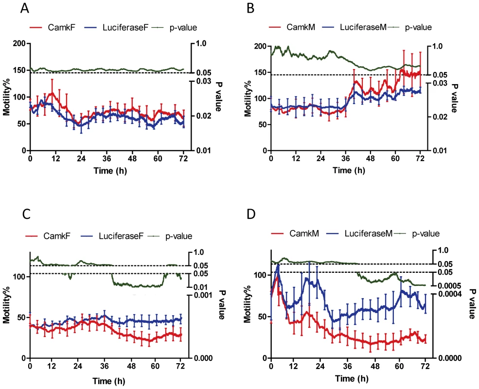 Motility (%) generated by CamKII gene knockdown, female and male worms incubated without or with praziquantel for up to 72 h.