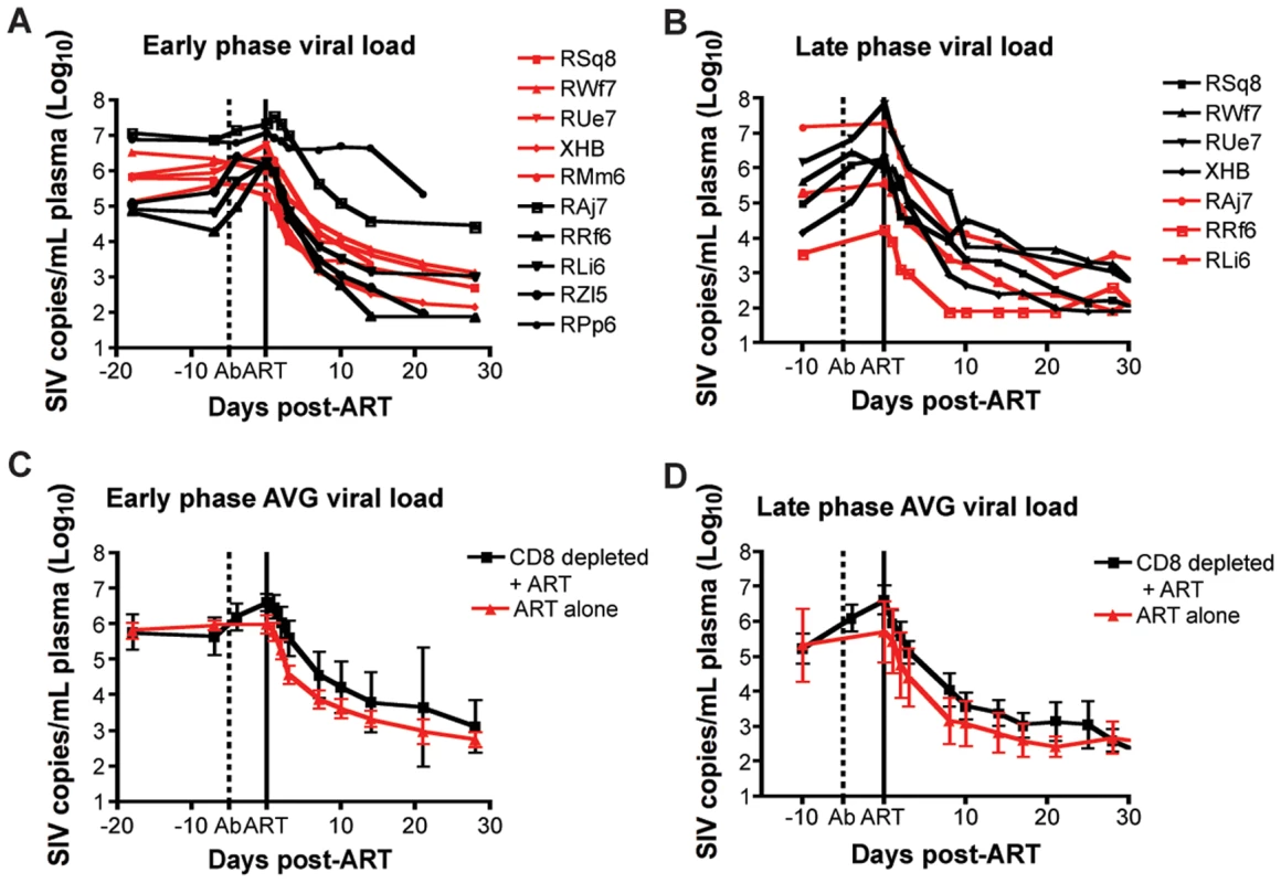 Treatment with PMPA and FTC effectively suppresses virus replication in SIVmac239-infected RMs.
