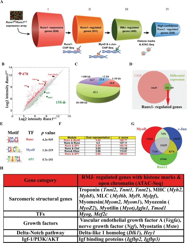 Analysis of PM high confidence Runx1-regulated genes.