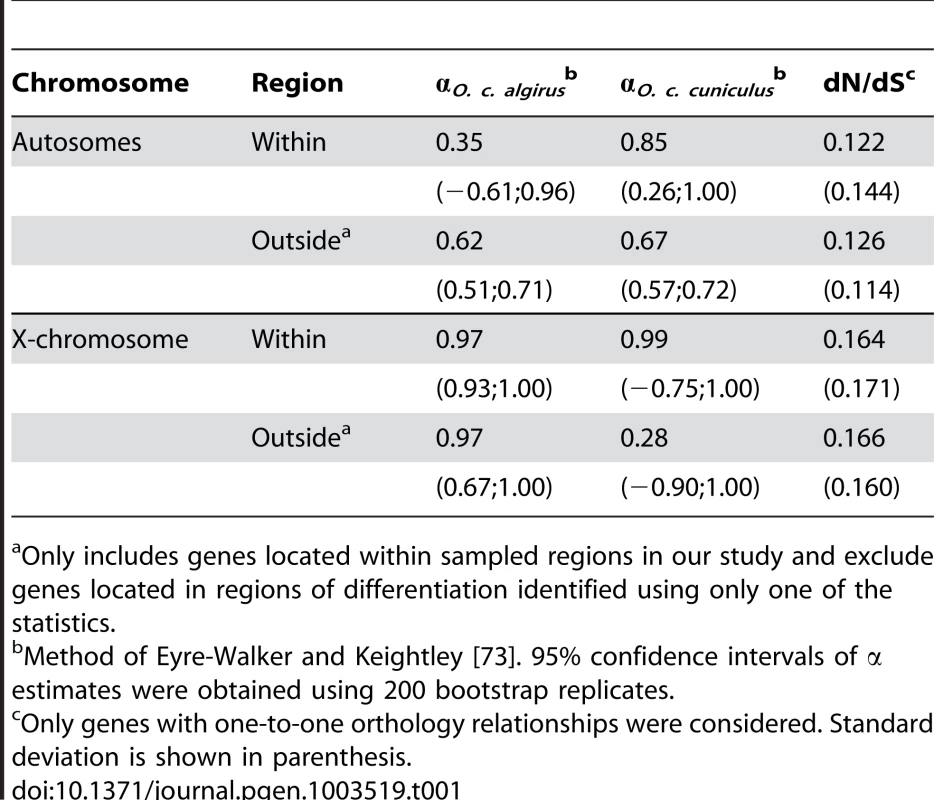 Proportion of amino acid substitutions driven to fixation by positive selection (α) and divergence at nonsynonymous and synonymous sites (dN/dS) for genes within and outside differentiated regions.