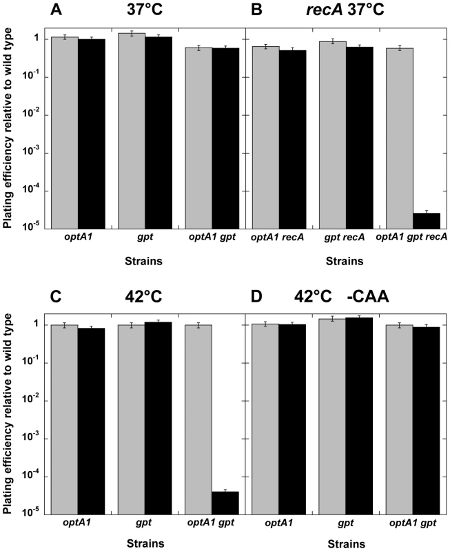 Plating efficiency of <i>optA1 gpt</i> strains on solid media with or without hypoxanthine.