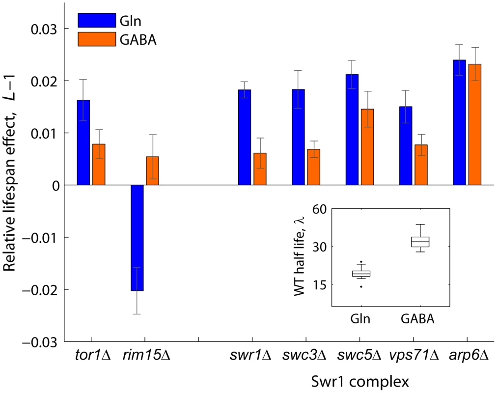 Relative lifespan extension by inactivation of Swr1 is partially abolished under dietary restriction.