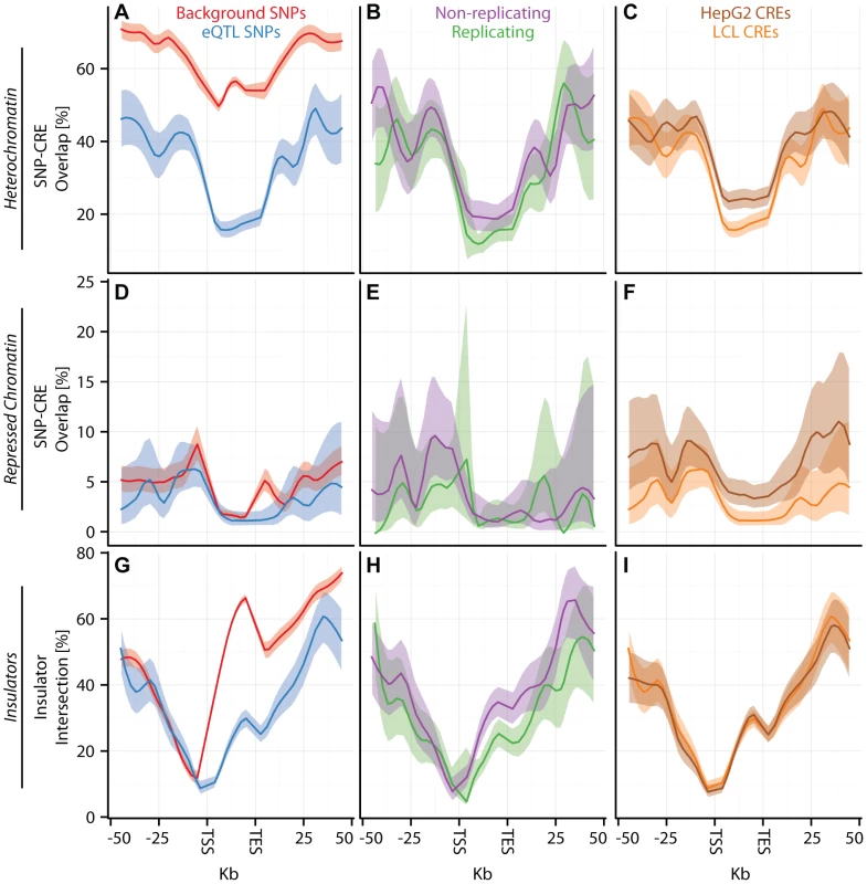 eQTL SNPs are depleted within repressive chromatin contexts.