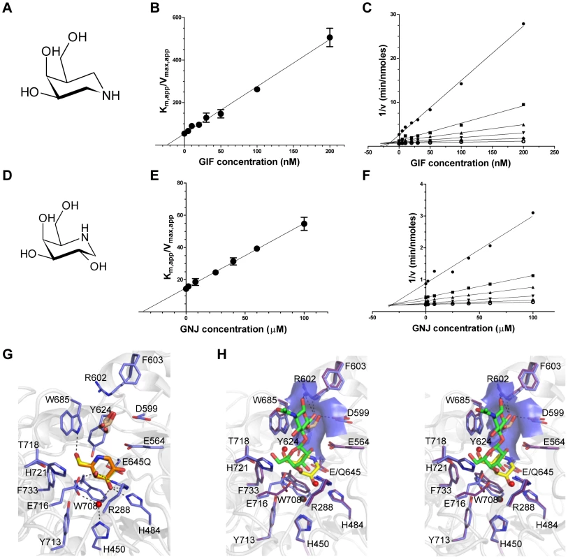 Characterization of BgaA inhibitors.