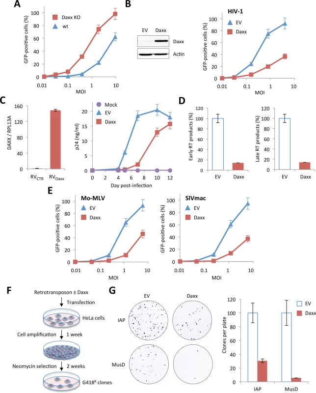 Inhibition of retroviral infections and retro-transposition by Daxx.