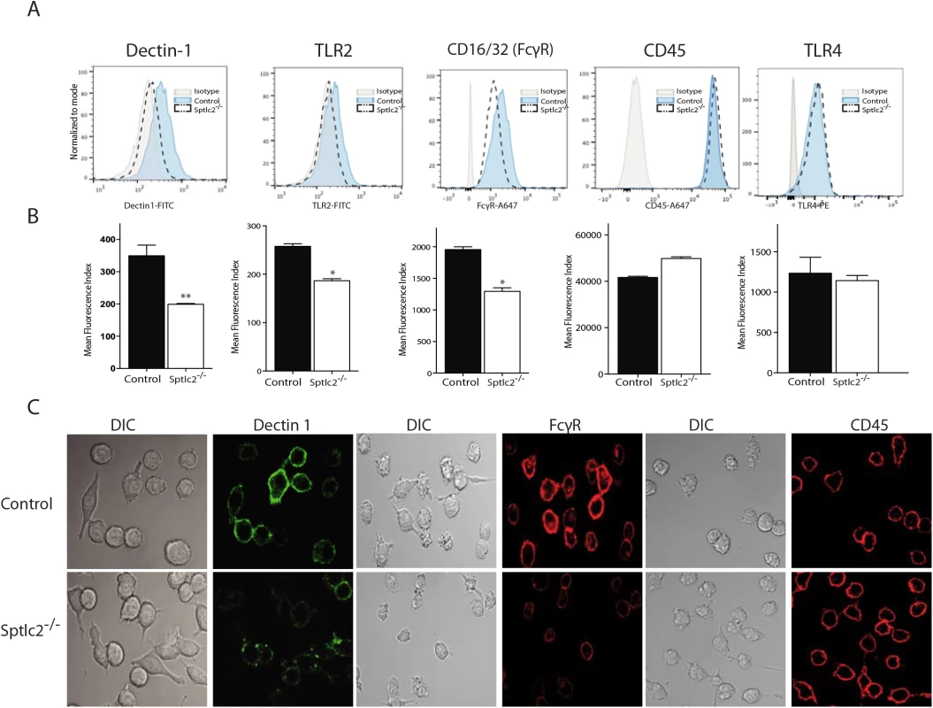 Sptlc2<sup>-/-</sup> cells express reduced level of pattern recognition receptors at the cell surface.