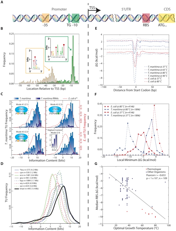 Identification and quantitative comparison of genetic elements for transcription and translation initiation.
