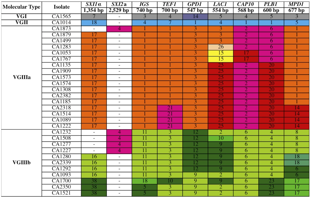 Molecular analysis of isolates from the Californian patient cohort reveals 93% are VGIII molecular type and genetically diverse.