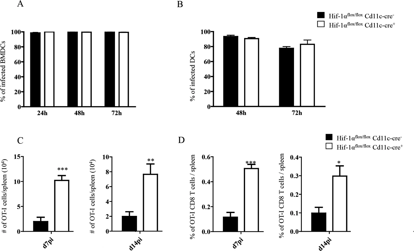 HIF-1α expression in CD11c<sup>+</sup> cells limits expansion of CD8<sup>+</sup> T cells.