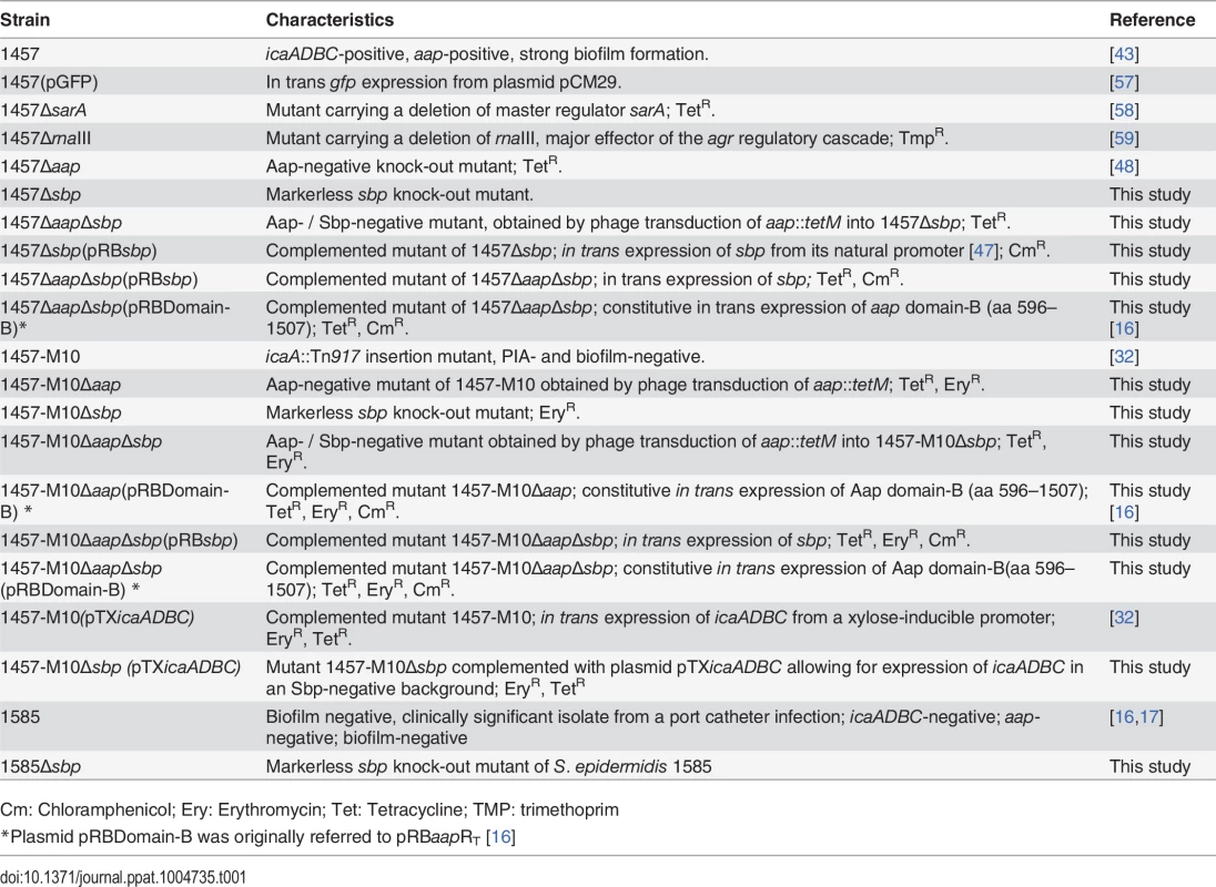 Strains used in the study.