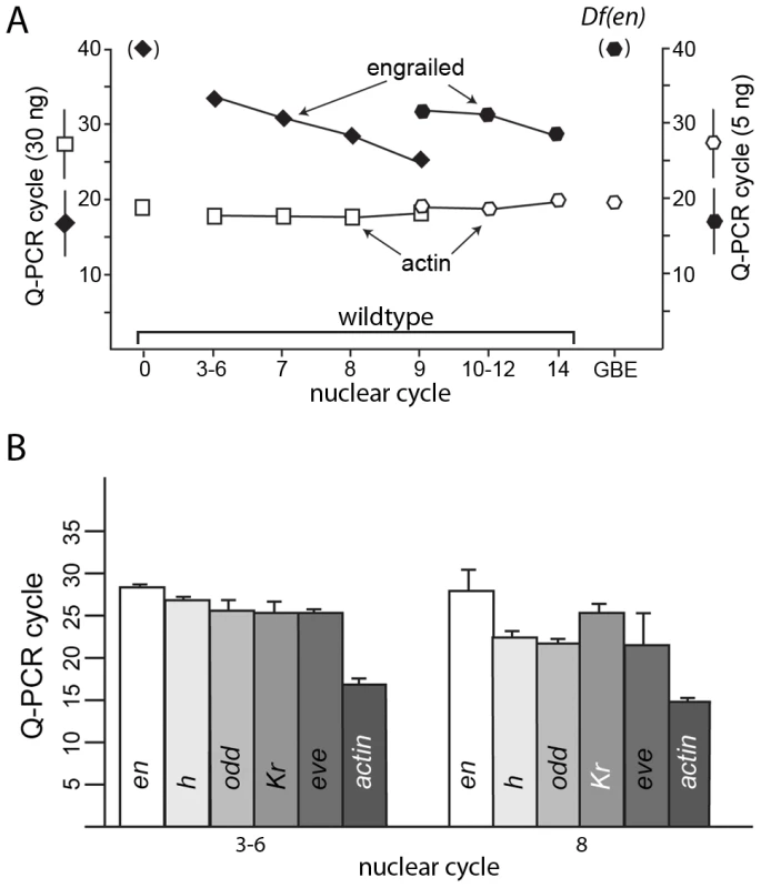 Q–PCR analysis detects transcription in pre-blastoderm embryos.