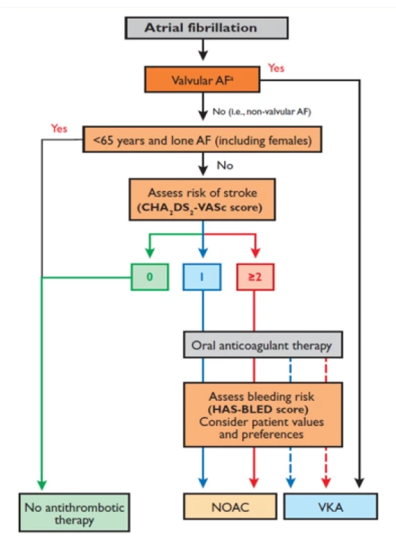 Algoritmus pro rozhodování
AF – Atrial Fibrillation, NOAC – nová perorální antikoagulancia, VKA – antagonisté vitaminu K (Převzato z originálního textu.)