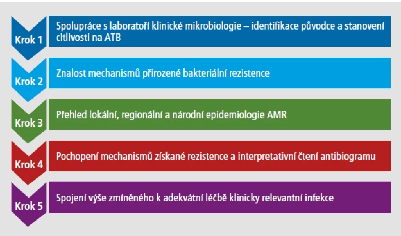 Pět základních kroků v boji proti bakteriální rezistenci.