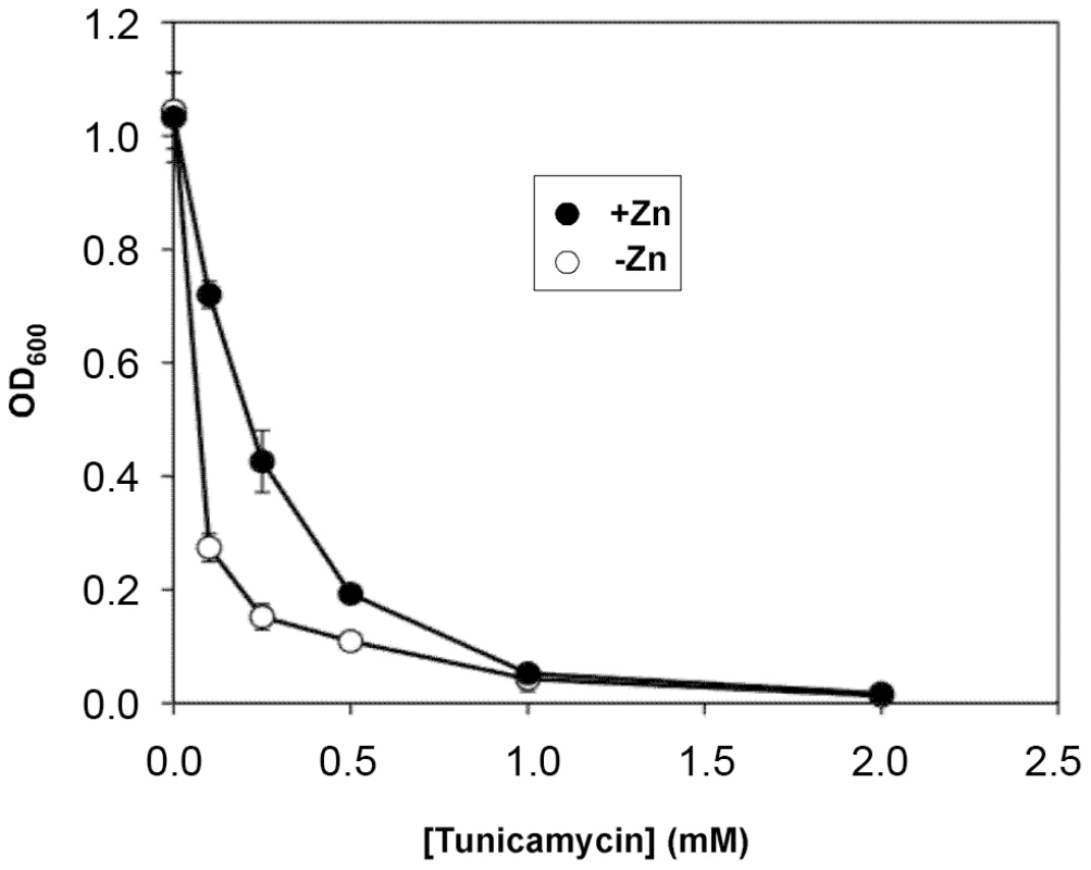 Effects of zinc status on sensitivity to an ER stress inducer.