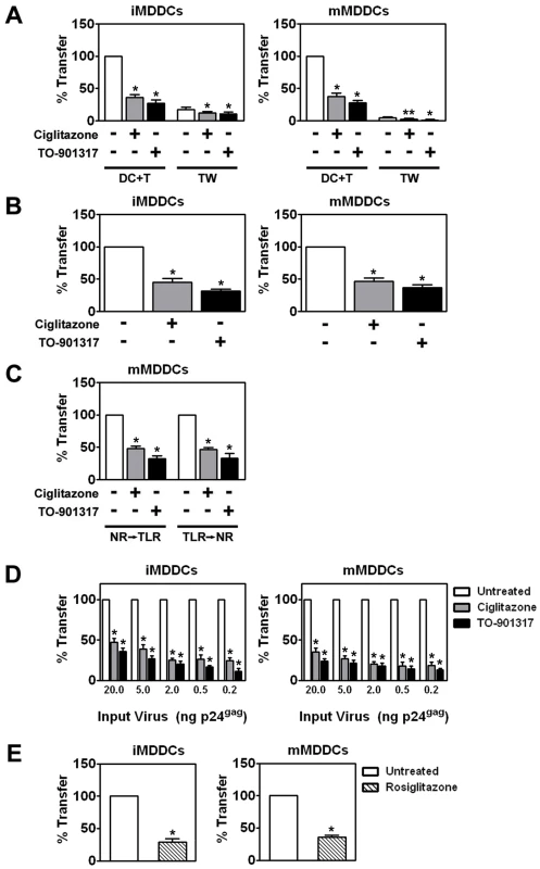 NR ligand treatment prevents HIV-1 <i>trans</i>-infection.