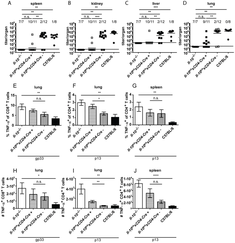 T cells are a biologically relevant IL-10 source.
