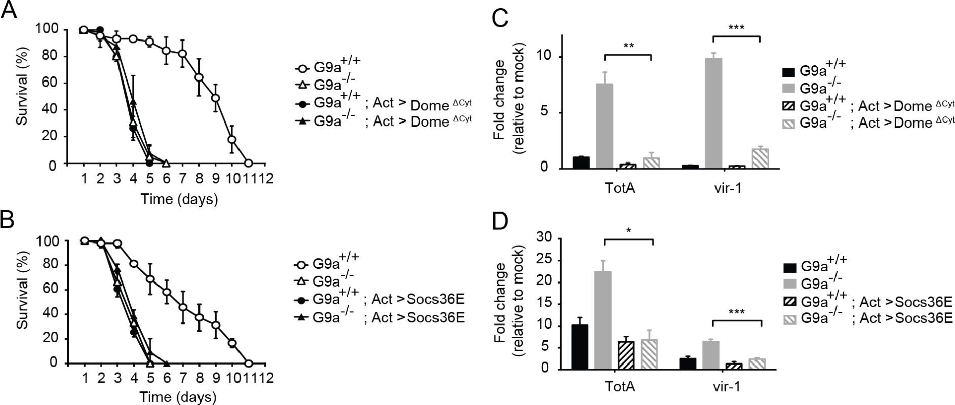 Genetic interaction between <i>G9a</i> and the Jak-Stat pathway.