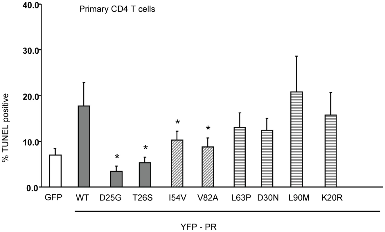 Expression of Discordance Associated Mutations (DAMs) in primary CD4 T cells alters generation of TUNEL positivity.