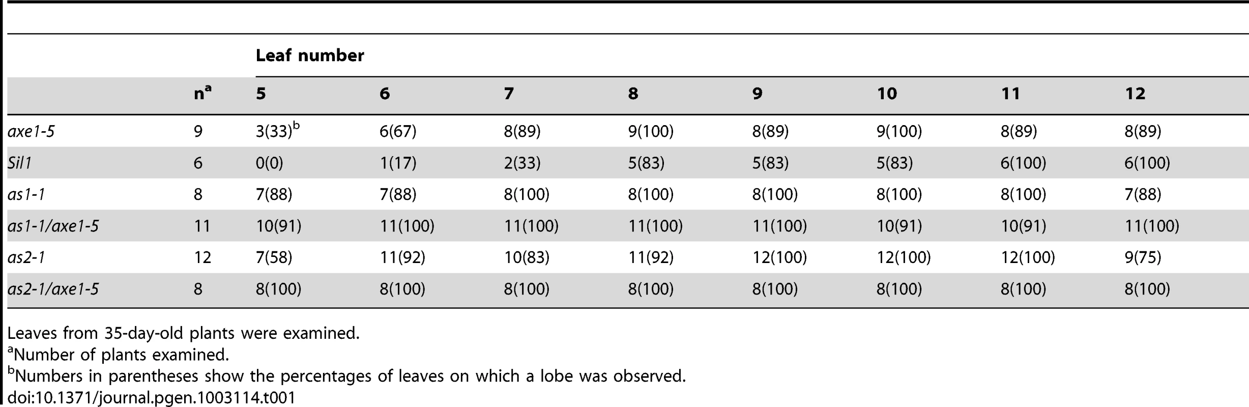 Frequency of leaf lobes.