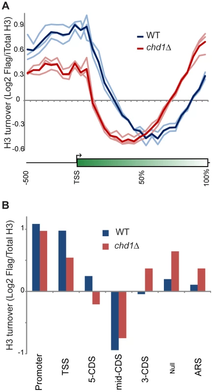 Chd1 plays a key role in H3 replacement dynamics at gene ends.