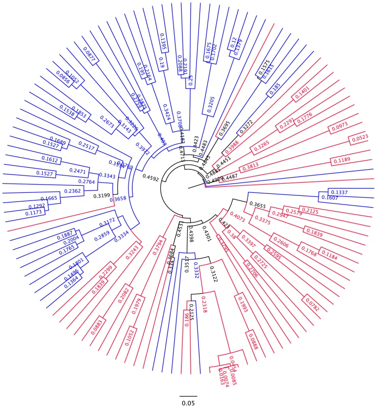 UPGMA dendogram based on Bray-Curtis similarity.