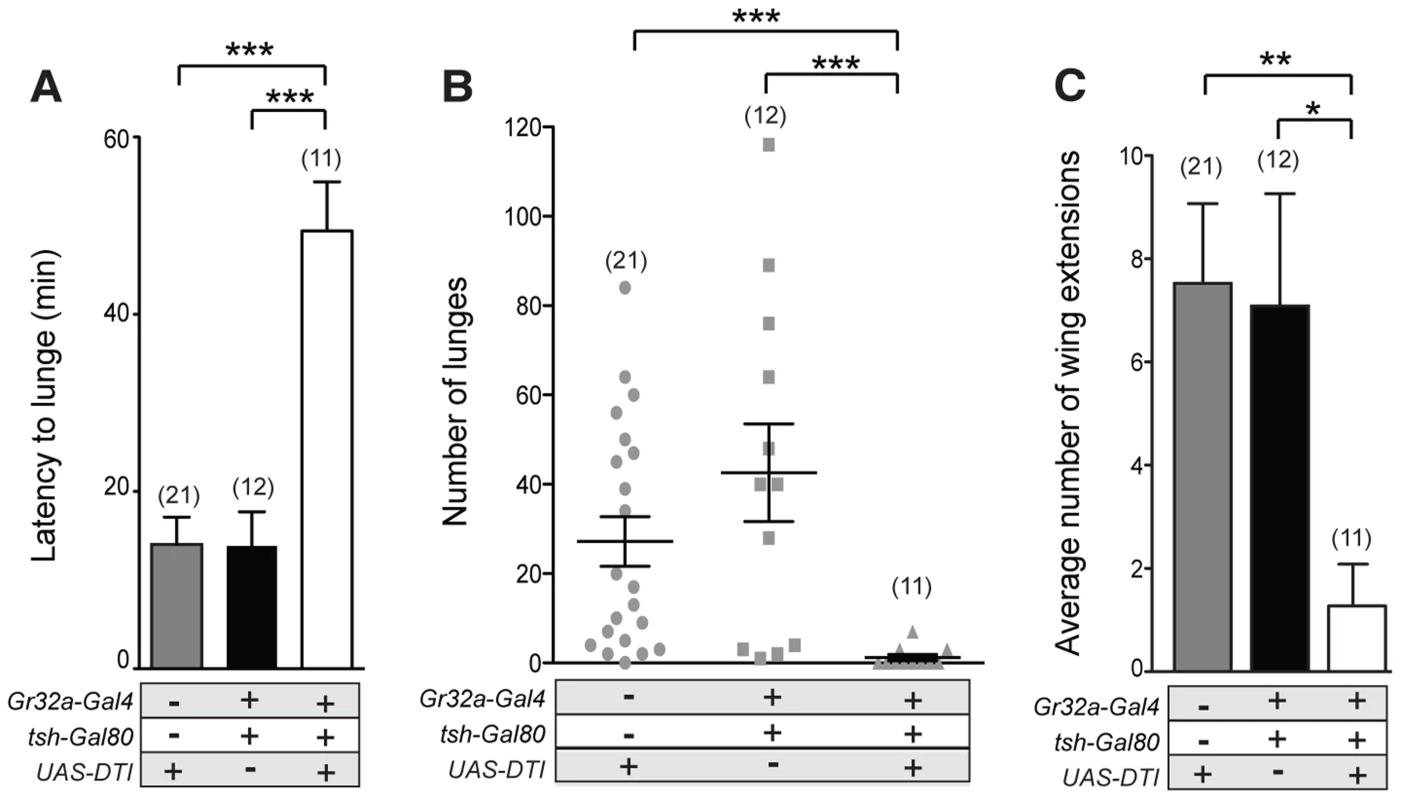 Gr32a chemosensory neurons located in the mouth promote aggression without an elevation in male-male courtship.