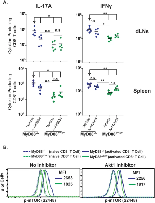 MyD88 requires Akt1 signaling for mTOR activation.